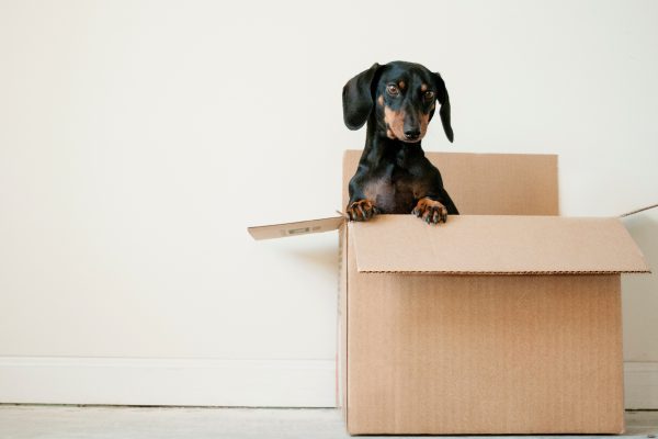 不用品の処分時には積極的に買取専門店を利用しよう！